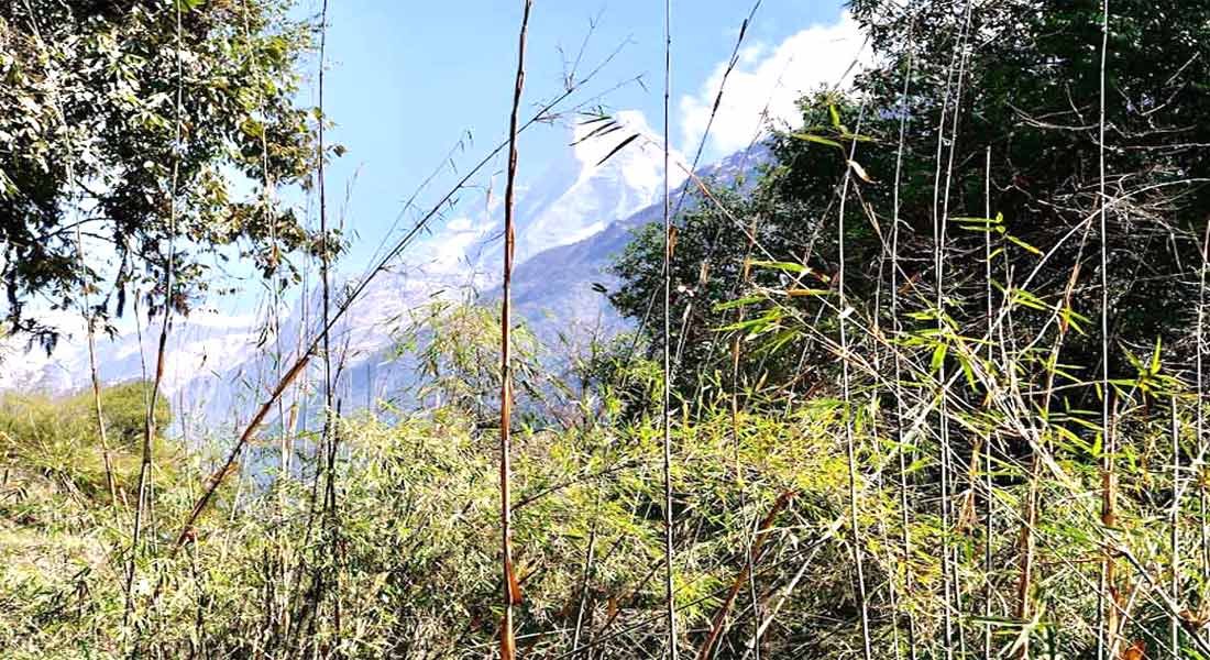 Annapurna Base Camp Trek
