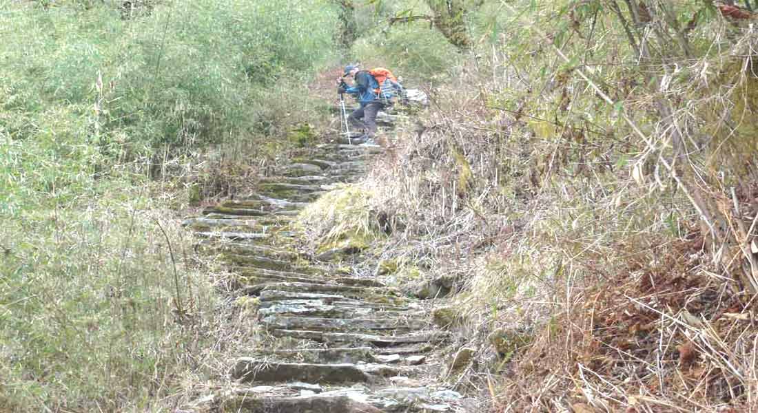 Mera Peak climbing with Mingbo La pass