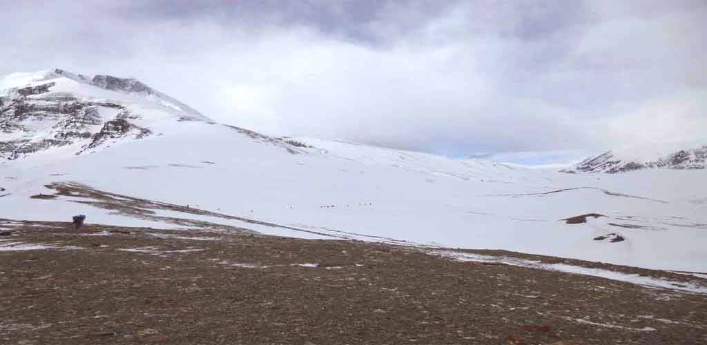Dhaulagiri Pass and Thapa Peak climbing