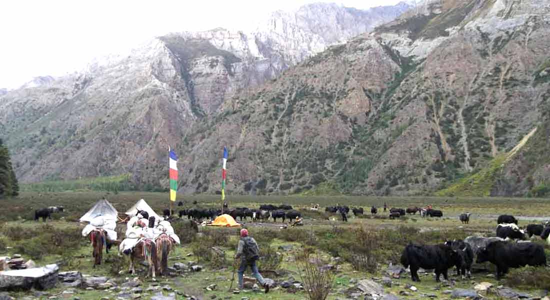 Upper Dolpo trek cost and itinerary