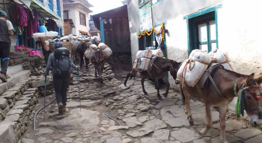 Everest base camp trek with Island peak climbing 