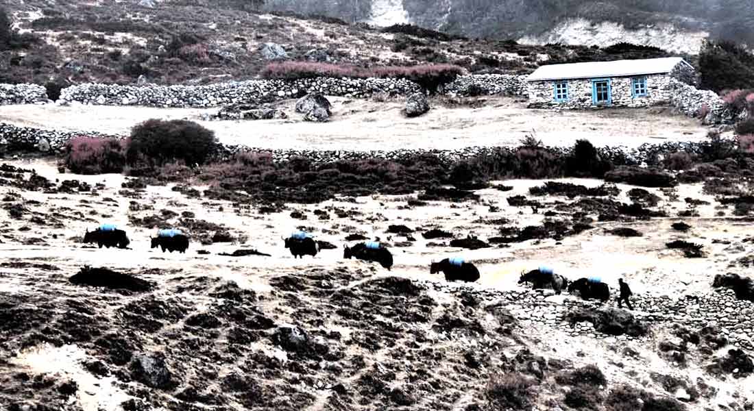 Everest base camp trek with Island peak climbing 