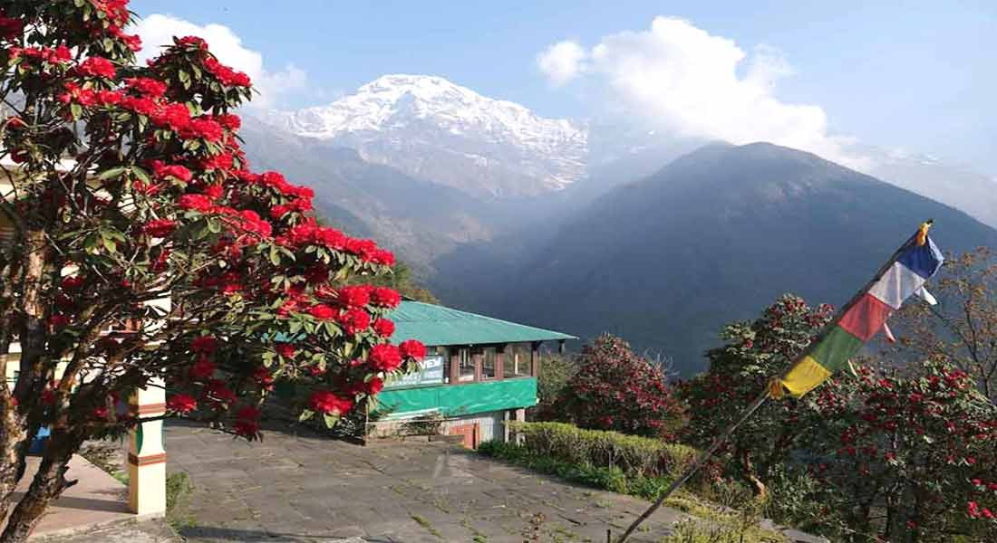 3 Nights 4 Days Ghandruk trek from Pokhara
