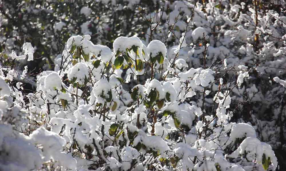 Jiri to Mera Peak Climbing