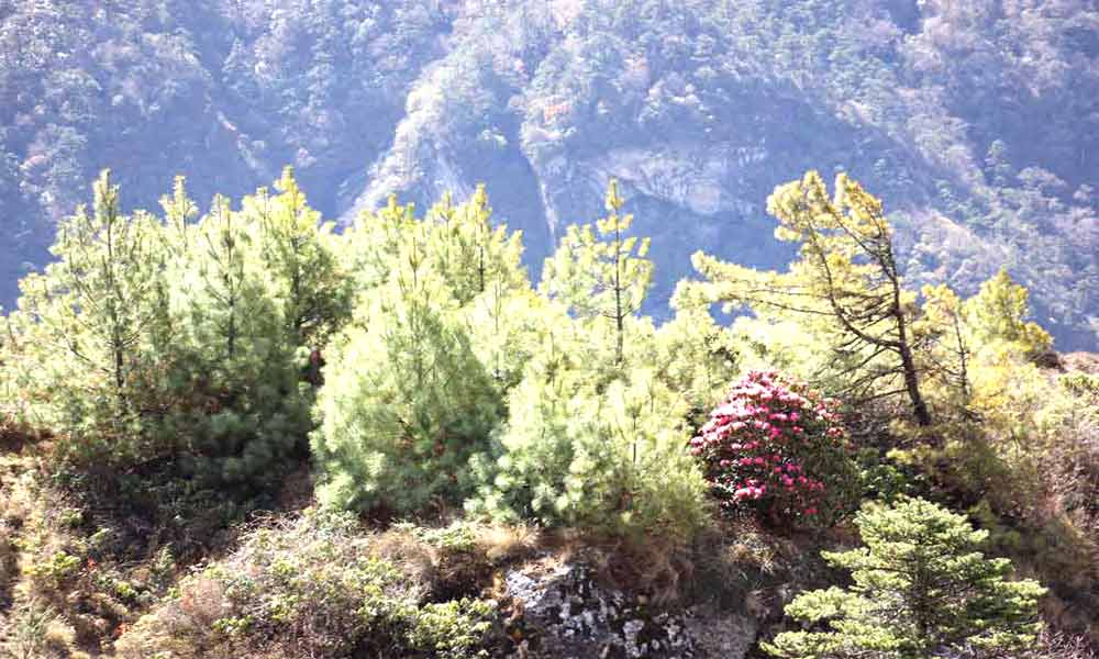 Jiri to Mera Peak Climbing