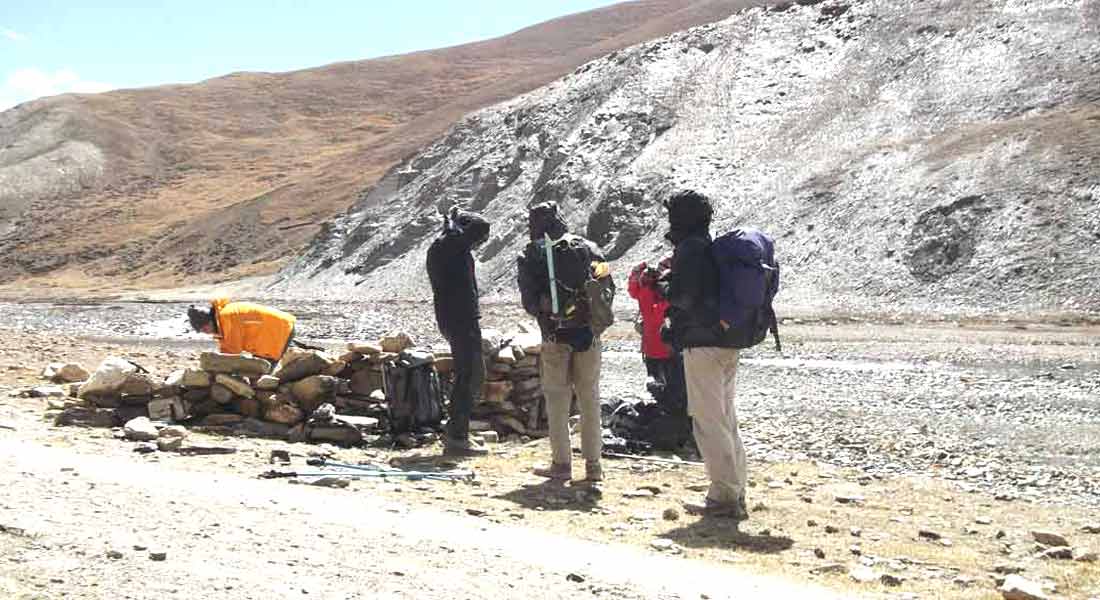 Lower Mustang Trek price