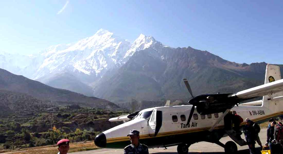 Lower Mustang Trek price