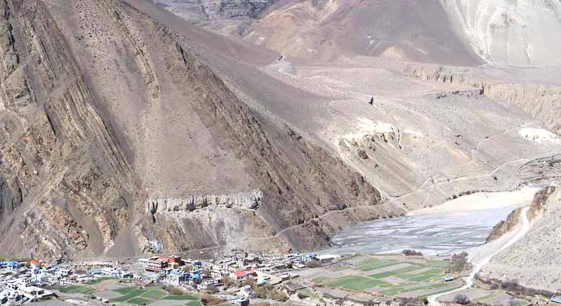 Lower Mustang Trek price