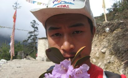 Pokhara to poon hill trek cost