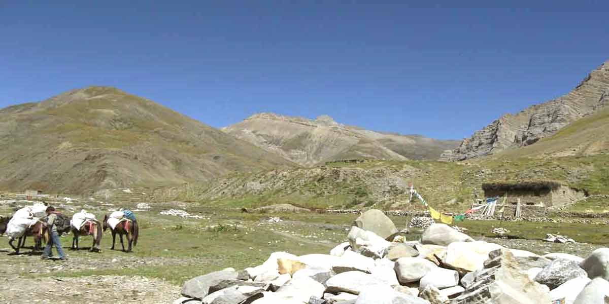 Lower Dolpo Circuit trek