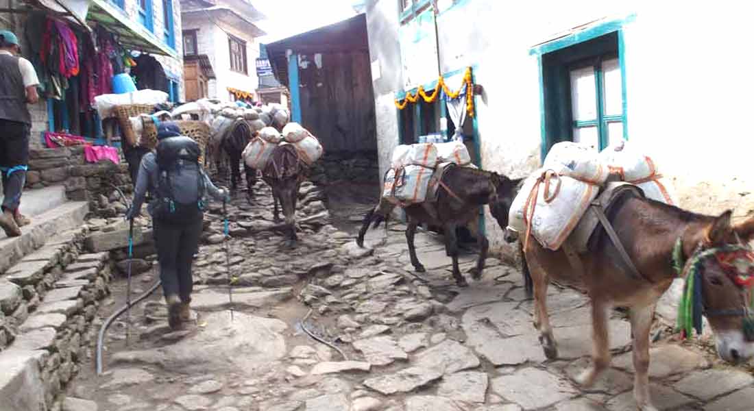 Renjo La Pass Trek