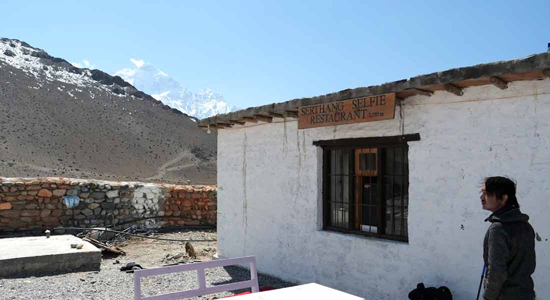 Lower Mustang Trek price