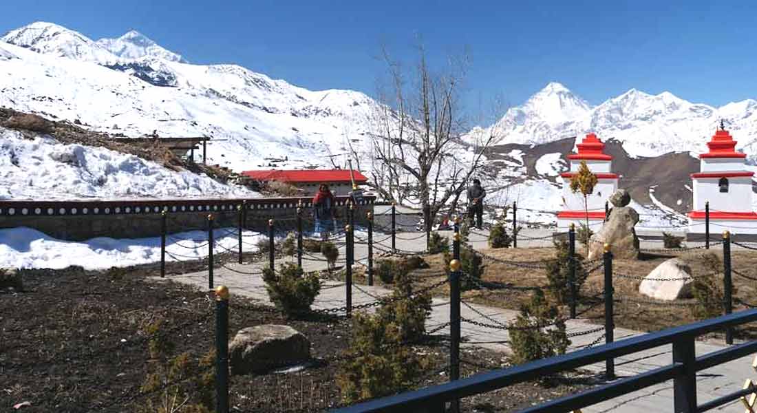 Lower Mustang Trek price