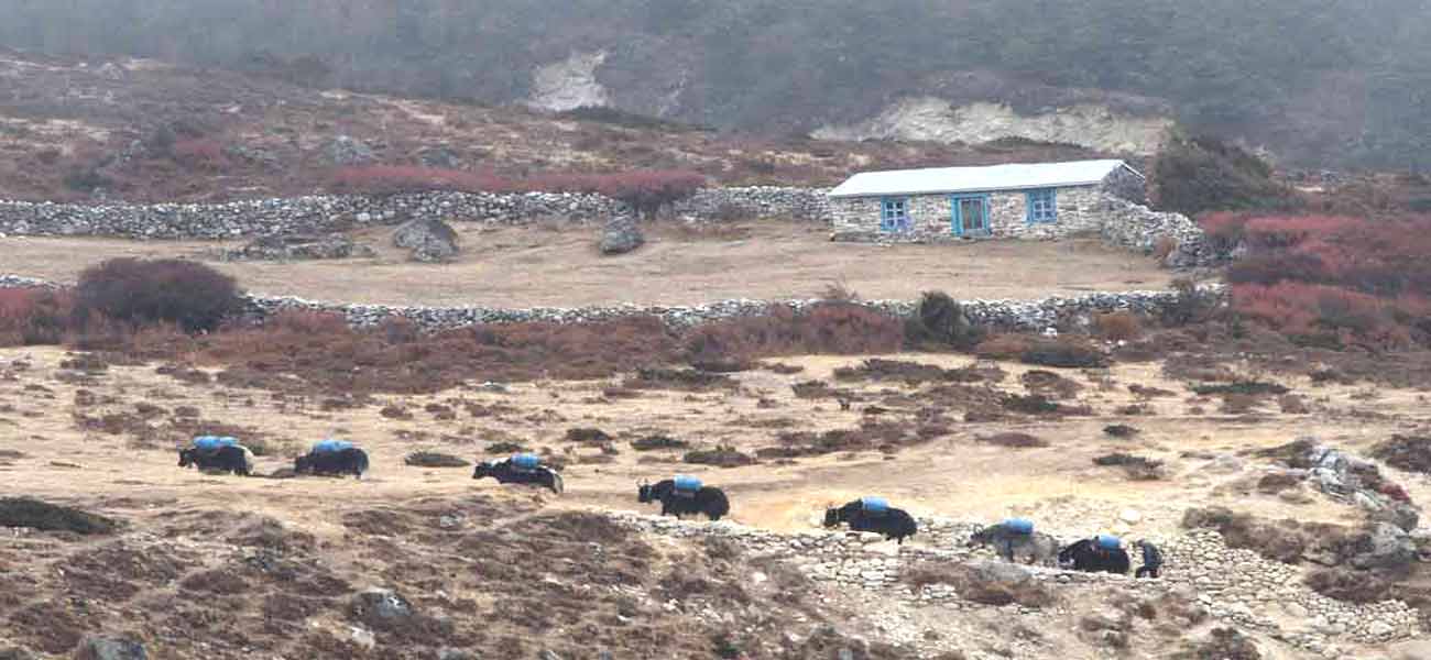 Everest Three Pass Trek cost