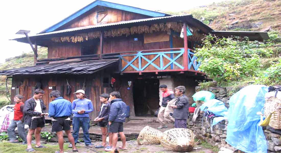 Kanchenjunga Tea House trek
