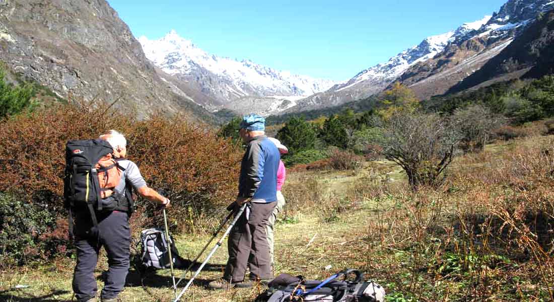 Kanchenjunga Tea House trek