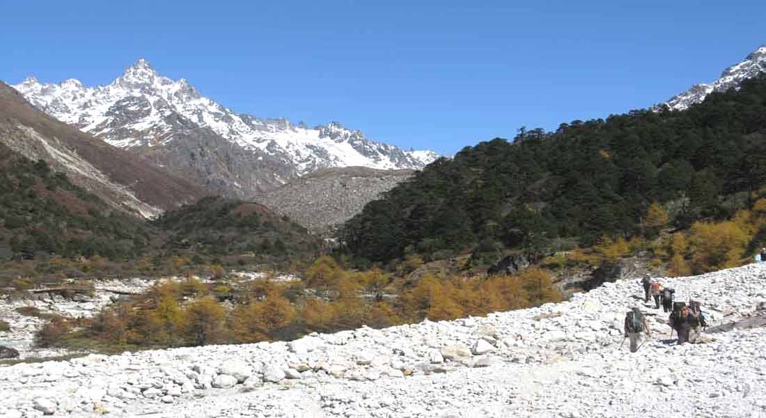 Kanchenjunga Tea House trek