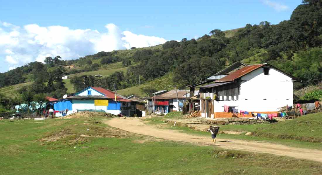 Kanchenjunga Tea House trek