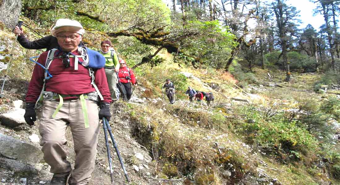 Kanchenjunga Tea House trek