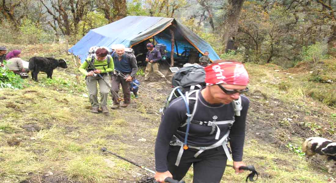 Kanchenjunga Tea House trek
