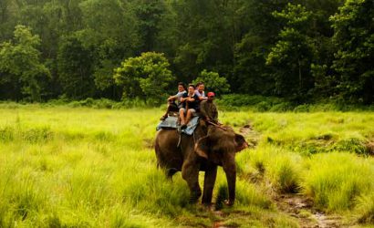 Kathmandu with the Jungle safari