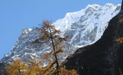 Kanchenjunga tea house trek