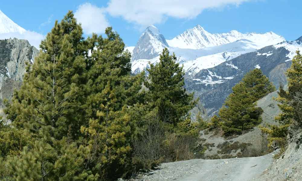 Annapurna Circuit with Annapurna Base Camp Trek