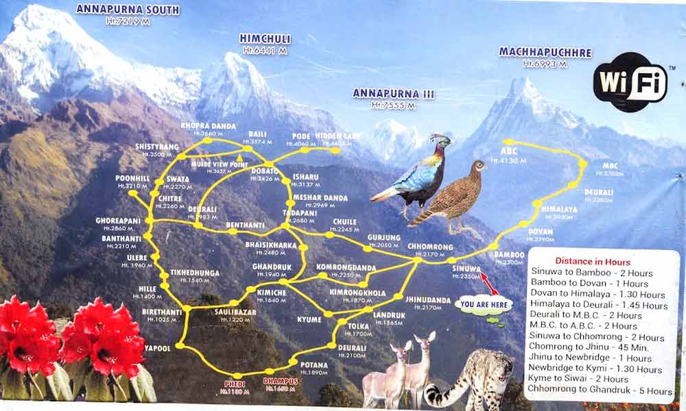 Guide Porter hire from Pokhara price