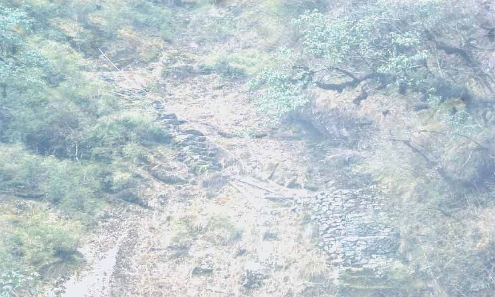 Phaplu to Mera Peak climbing cost