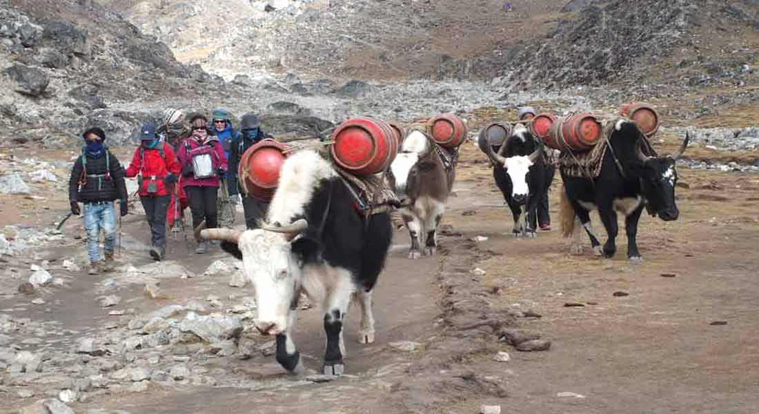 Everest Base Camp trek from Lukla