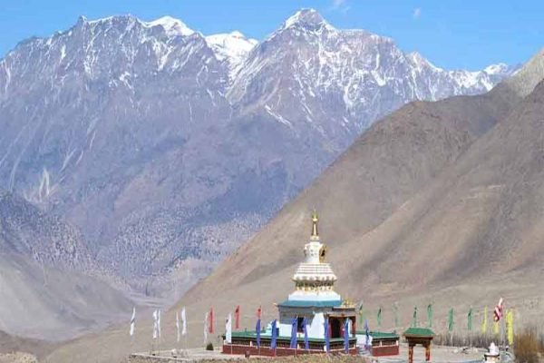 Lower Mustang Trek price