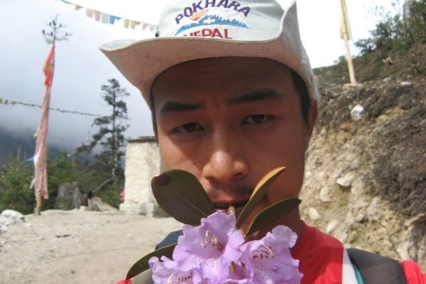 Pokhara to poon hill trek cost